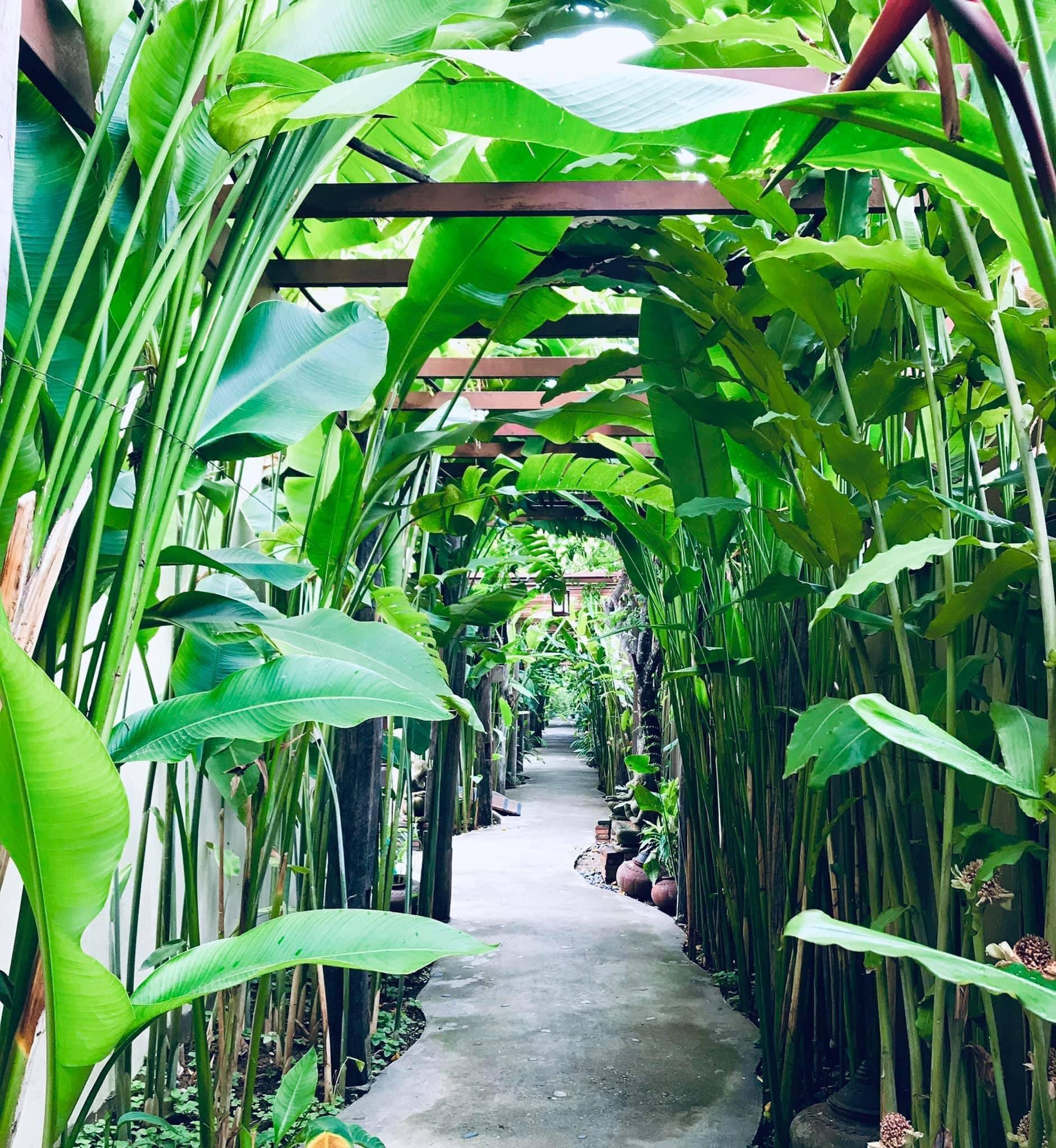 Shewe Wana Suite Resort Chiang Mai Buitenkant foto