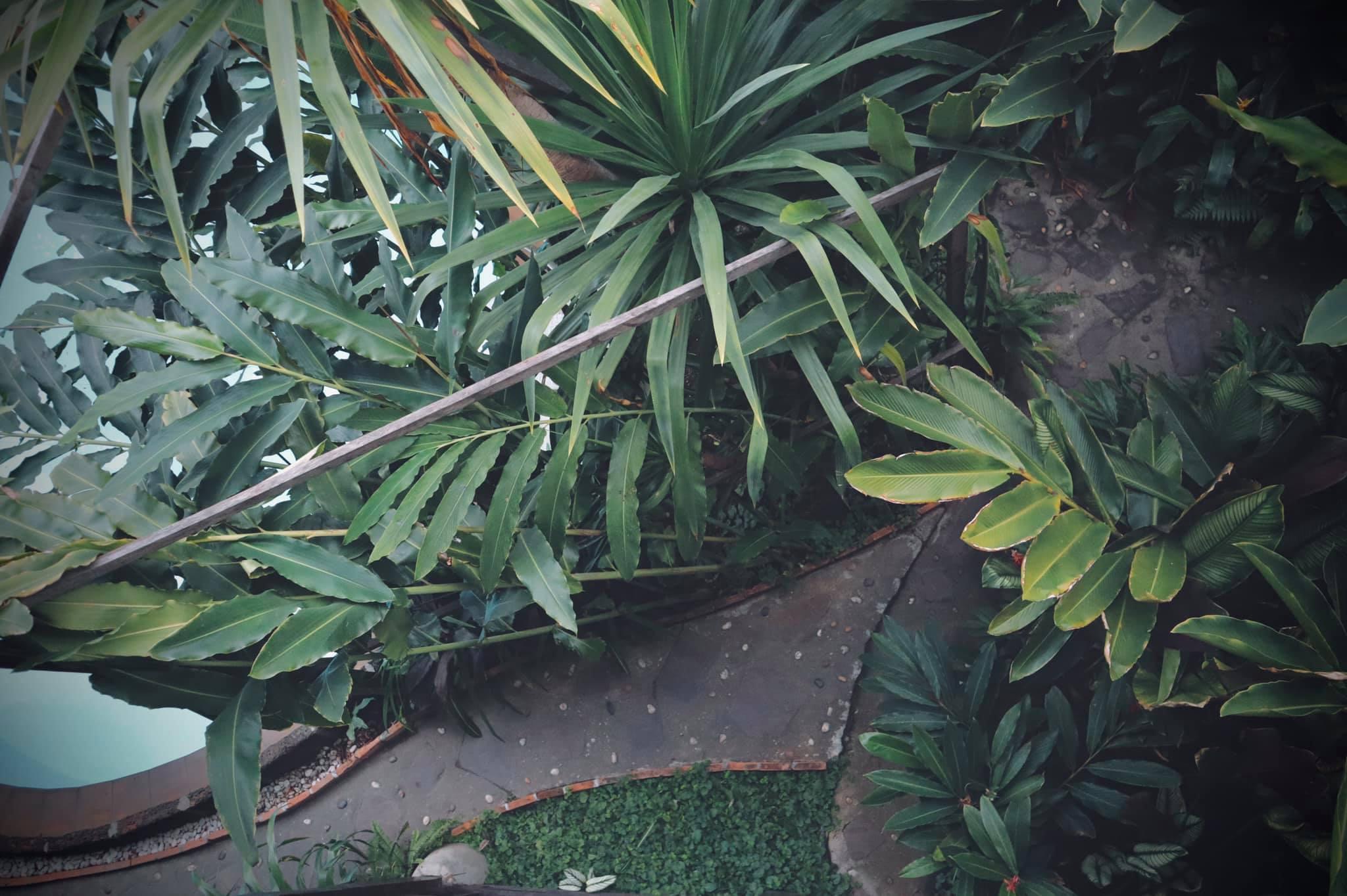 Shewe Wana Suite Resort Chiang Mai Buitenkant foto